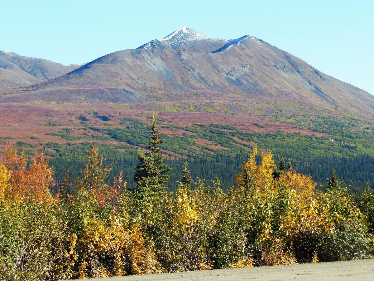 Backwoods Lodge Cantwell Exteriér fotografie