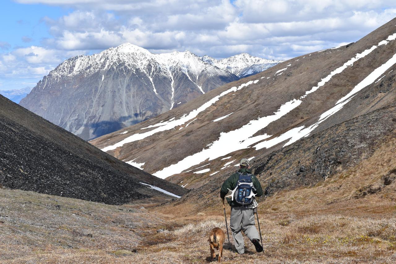 Backwoods Lodge Cantwell Exteriér fotografie