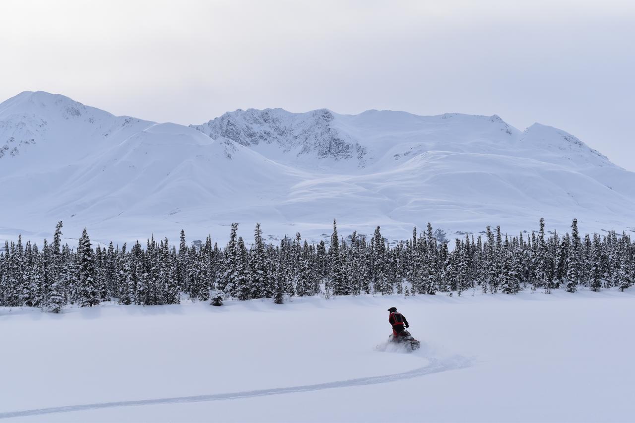 Backwoods Lodge Cantwell Exteriér fotografie