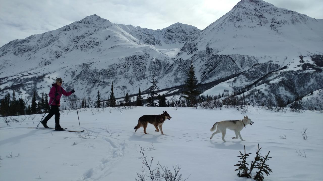 Backwoods Lodge Cantwell Exteriér fotografie